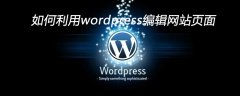 如何利用wordpress编辑网站页面