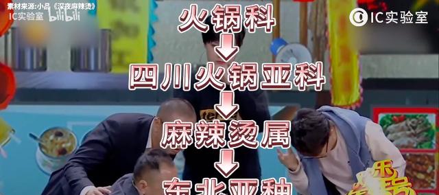 张亮VS杨国福！东北麻辣烫如何征服全国？