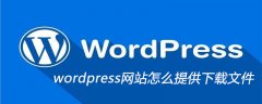 wordpress网站怎么提供下载文件