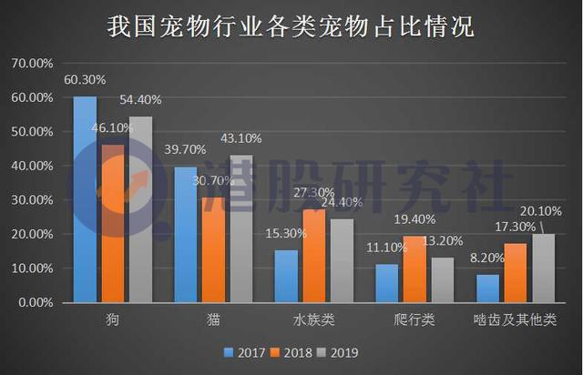 “它经济”走俏，港股市场谁能“C位”出道？