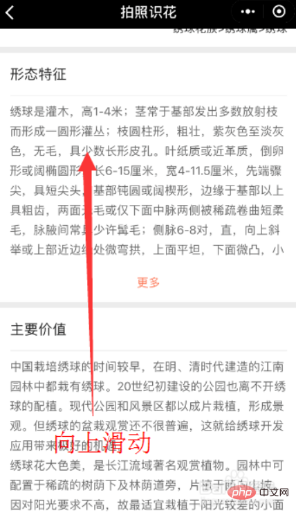 怎样使用识花君小程序