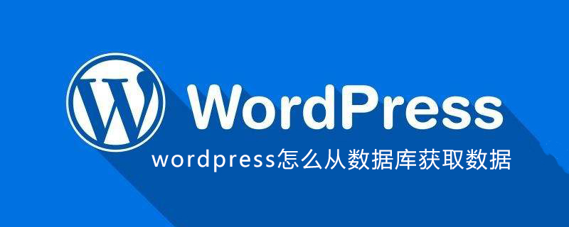 wordpress怎么从数据库获取数据