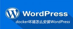 docker环境怎么安装WordPress