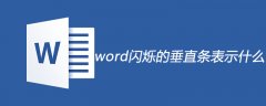 word闪烁的垂直条表示什么