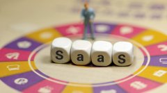 在中国做SaaS，你不必成为一个纯软件公司