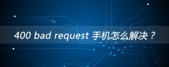 400 bad request 手机怎么解决？