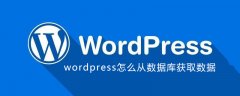 wordpress怎么从数据库获取数据