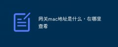 网关mac地址是什么，在哪里查看