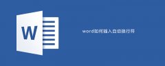 word如何插入自动换行符