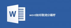 word如何取消分隔符