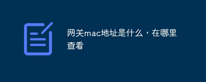 网关mac地址是什么，在哪里查看