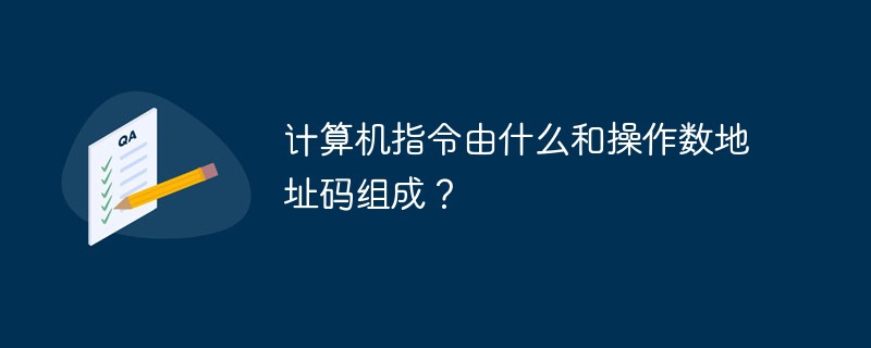 计算机指令由什么和操作数或地址码组成？