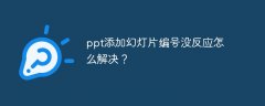 ppt添加幻灯片编号没反应怎么解决？