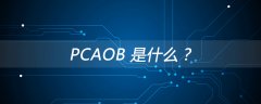 PCAOB 是什么？