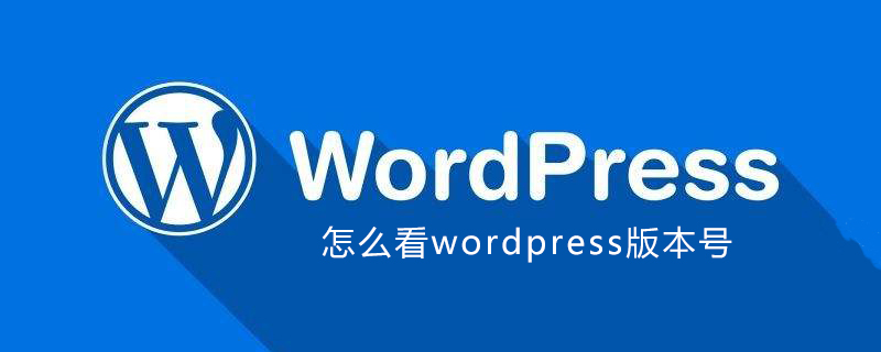 怎么看wordpress版本号