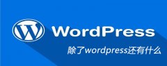 除了wordpress还有什么