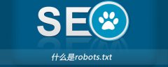 什么是robots.txt？