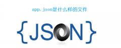 app.json是什么样的文件