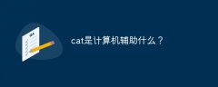 cat是计算机辅助什么？