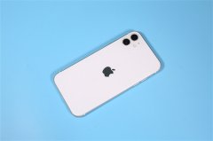 消息称两款6.1寸iPhone 12先发布：不支持5G毫米波对国内用户没影