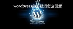 wordpress的关键词怎么设置