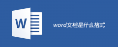 word文档是什么格式