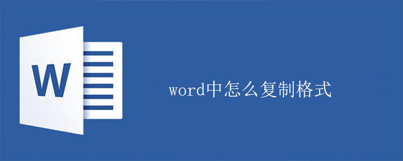 word中怎么复制格式