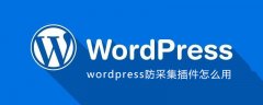 wordpress防采集插件怎么用