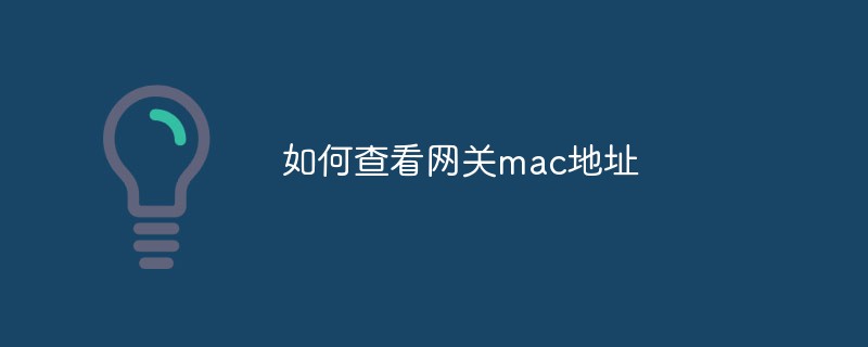 如何查看网关mac地址