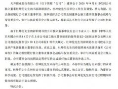 天齐锂业：公司独立董事杜坤伦辞职