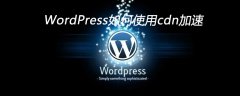 WordPress如何使用cdn加速