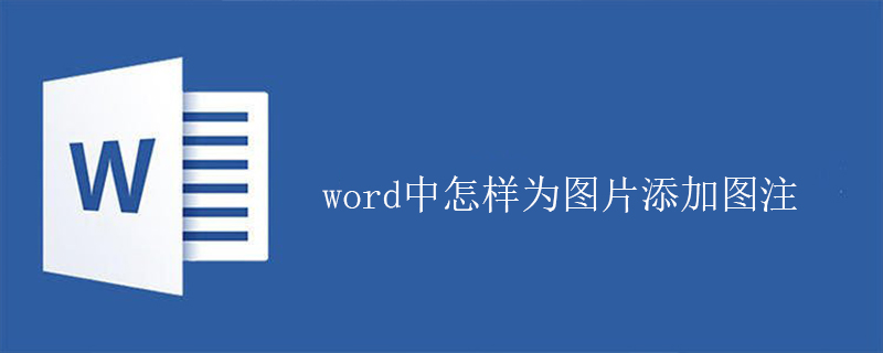 word中怎样为图片添加图注