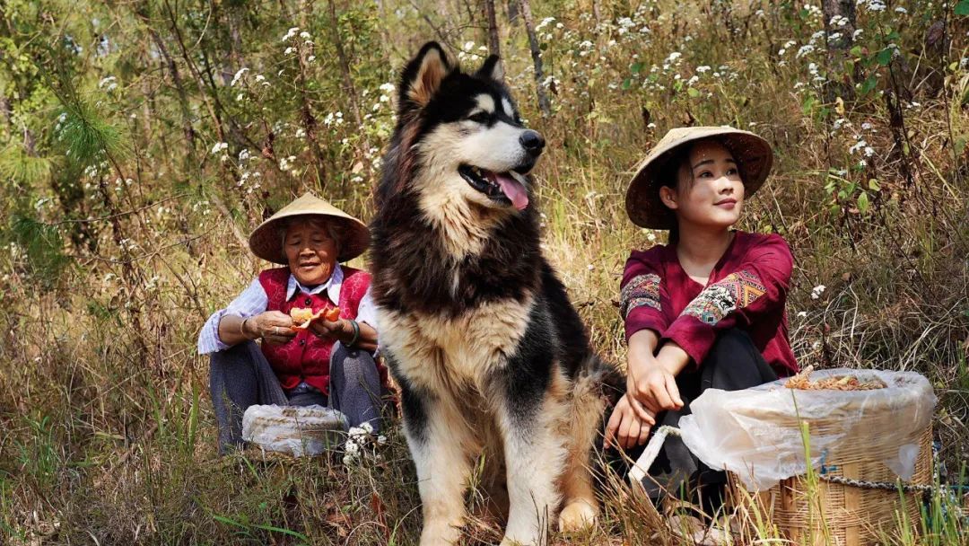 这届年轻人有多佛：“警花”变村花，社恐不上班，学渣当网红