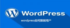 wordpress如何限制用户