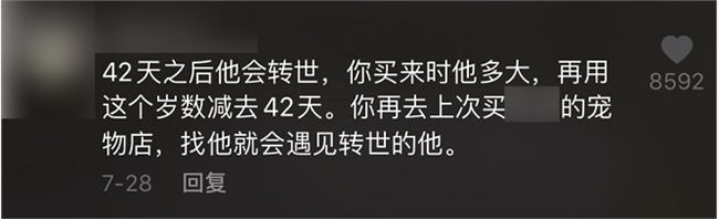 吃播凉了，“大胃王宠物”还在被逼着捞钱