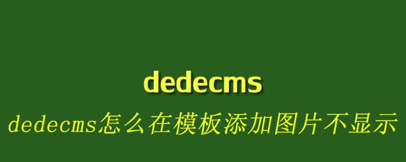 dedecms怎么在模板添加图片不显示