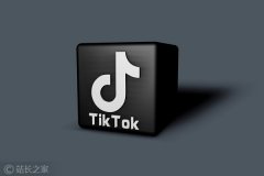 甲骨文与字节跳动达成协议 后者不会全面出售TikTok