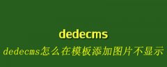 dedecms怎么在模板添加图片不显示