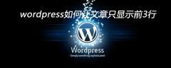 wordpress如何让文章只显示前3行