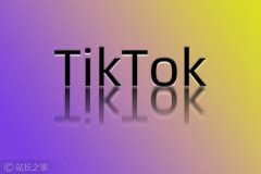 TikTok将总部继续留在美国，甲骨文将成为合作伙伴