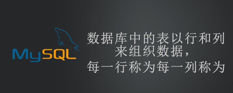 数据库中的表以行和列来组织数据，每一行称为每一列称为