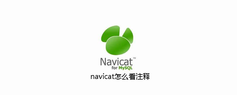 navicat怎么看注释