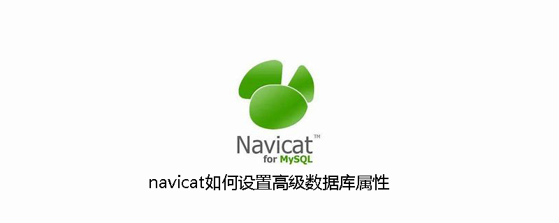 navicat如何设置高级数据库属性