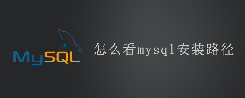 怎么看mysql安装路径