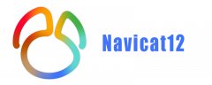 navicat12是什么