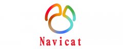 navicat怎么打开