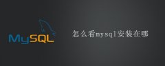 怎么看mysql安装在哪？