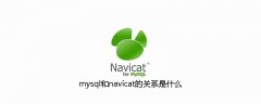 mysql和navicat的关系是什么