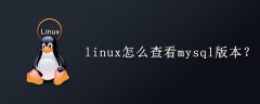 linux怎么查看mysql版本？