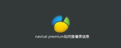 navicat premium如何查看表信息